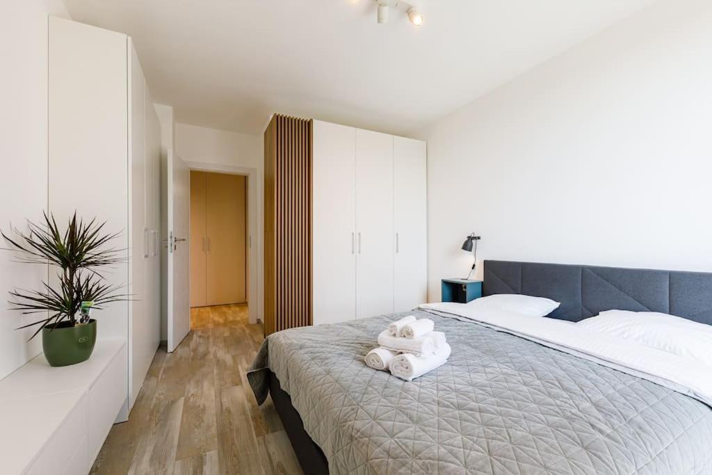 Luxury Apt. Near River & Parking Timisoara Luaran gambar