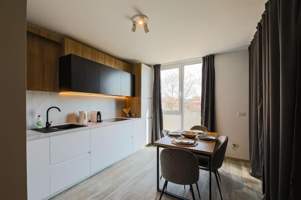 Luxury Apt. Near River & Parking Timisoara Luaran gambar